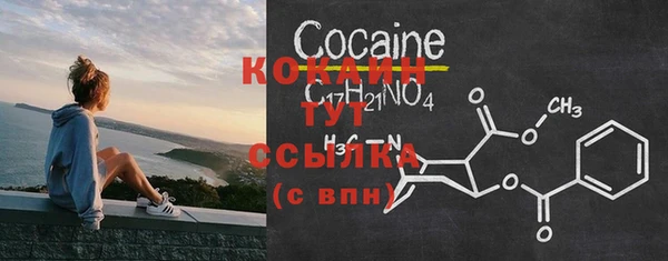 PSILOCYBIN Сафоново